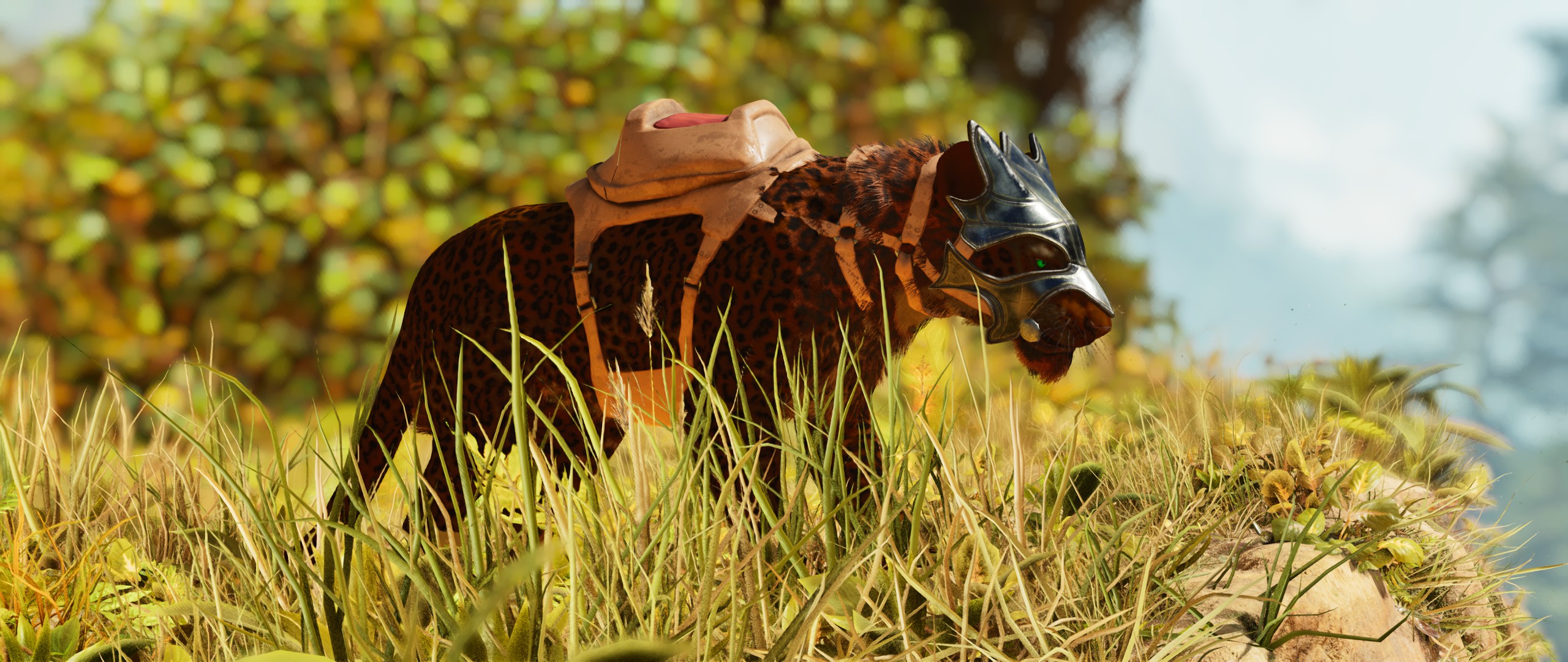 A leopard from Cliffans Additional Critters