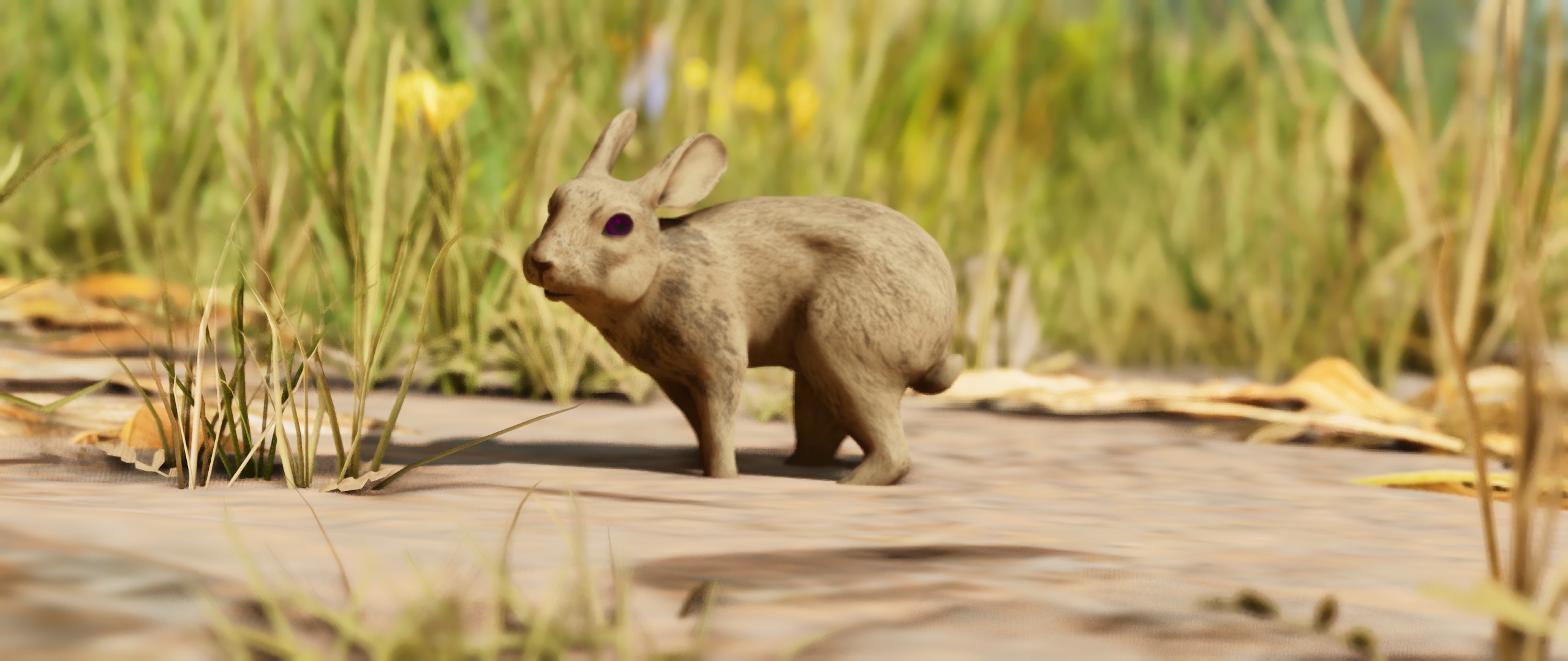 A rabbit from Cliffans Additional Critters